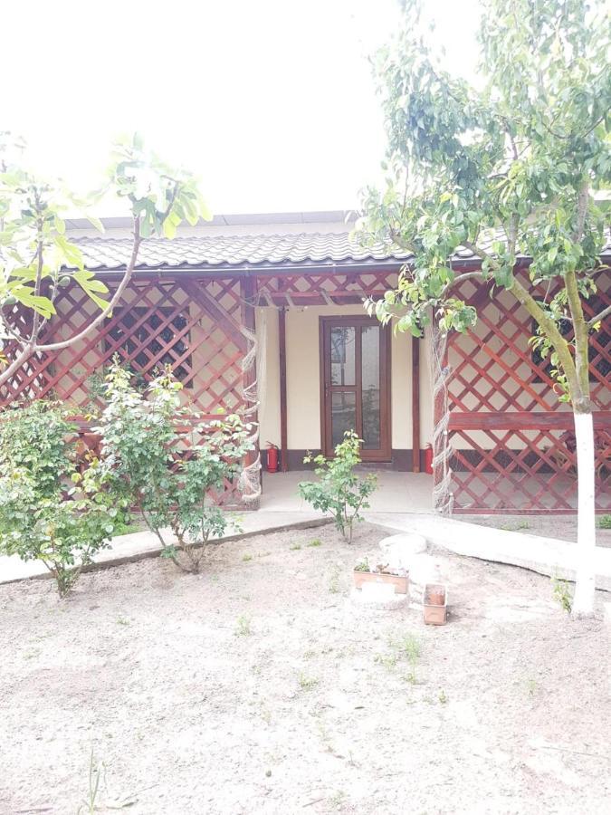 Hotel Casa Carter Sfântu Gheorghe Esterno foto